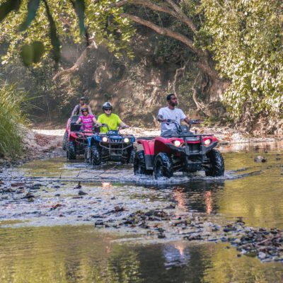 Tours & Taxi Services