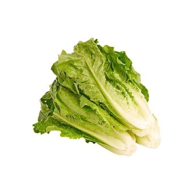 LP Romaine Hearts 686G