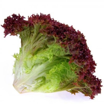 Local Produce Red Leaf Lettuce (per KG)