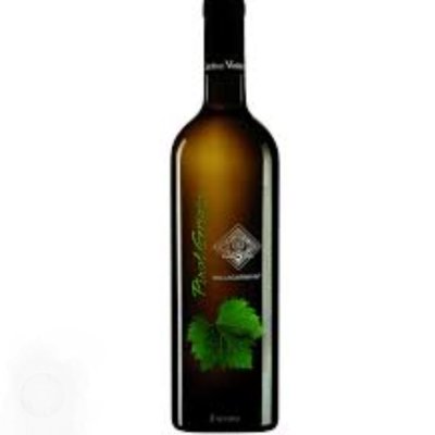 CANTINA VALDADIGE PINOT GRIGIO 75CL