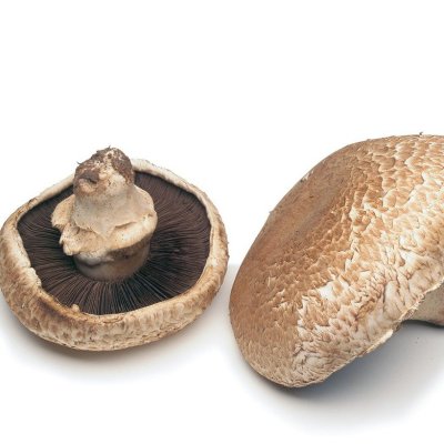 Imported Produce Mushroom Portabella Cap