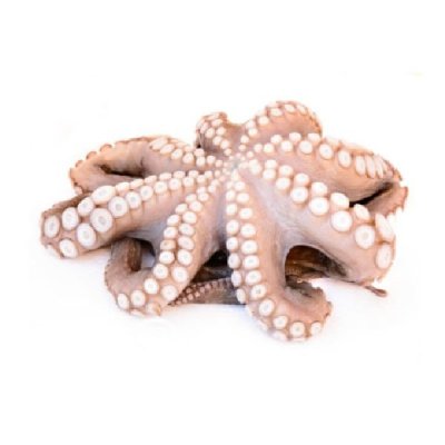 Francis Fish Frozen Octopus (per KG)