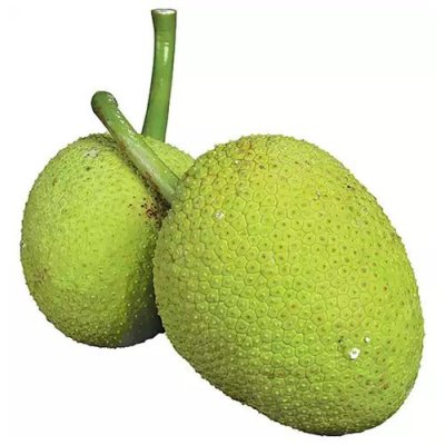 Local Produce Breadfruit (per KG)