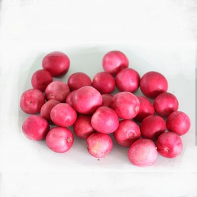 CHAD GARDEN FRESH FAT POKE 200G