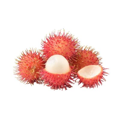 IP RAMBUTANS 454G