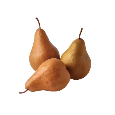 IP PEAR BOSC 100 120CT
