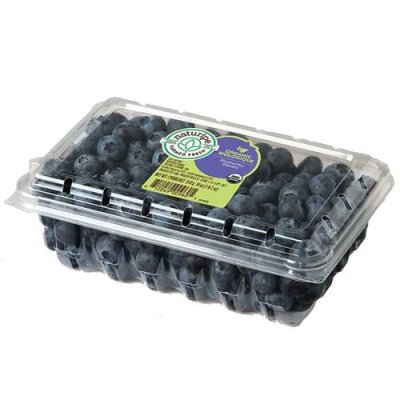 IP BLUEBERRIES 312G
