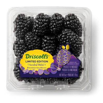 IP BLACK BERRIES 170G